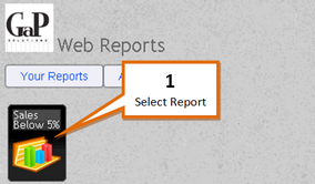 EZWEB Run Report 01